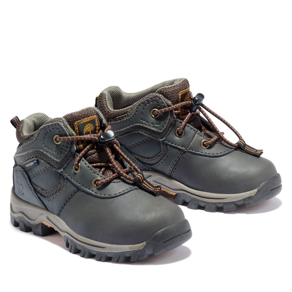 Botas de Montaña Timberland Niños Toddler Mt. Maddsen Waterproof Marrones - Chile LEJ-917348